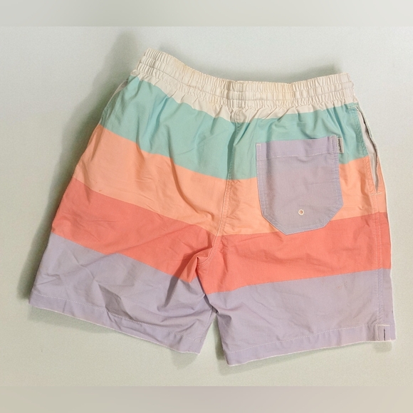 Chubbies Flavor Savors pastel Swim Trunk Men's Small - Picture 2 of 5